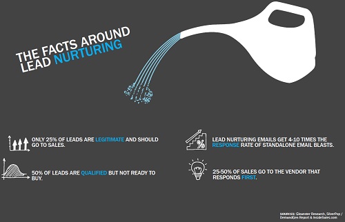 lead nurturing facts