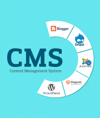 Content Management System-SEO Services