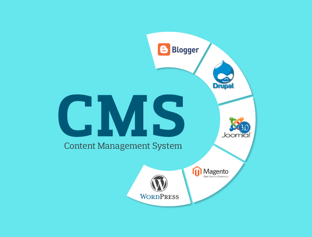 Content Management System-SEO Services